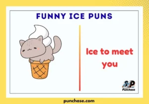 Funny Ice Puns