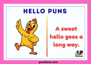 Hello Puns