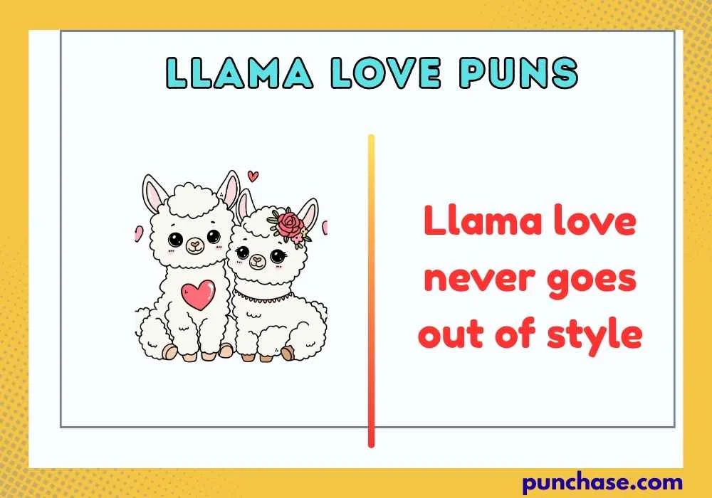 Hilarious Llama Love