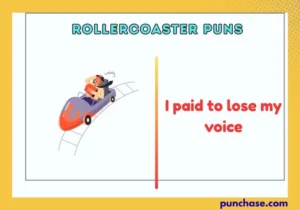 Rollercoaster Puns