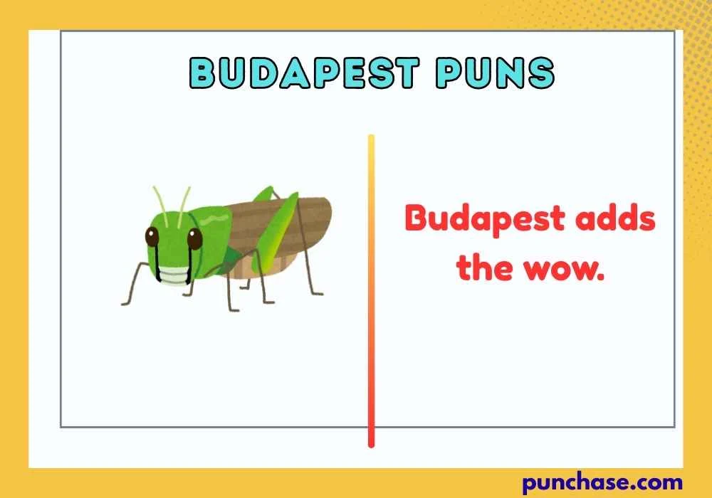 Snappy Budapest