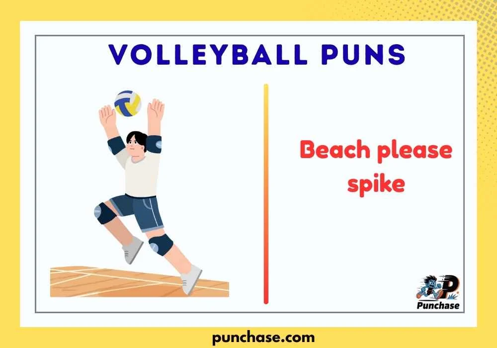 Volleyball Puns