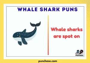 Whale Shark Puns