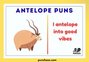 Antelope Puns