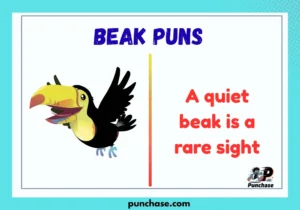 Beak Puns
