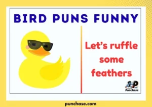 Bird Puns Funny