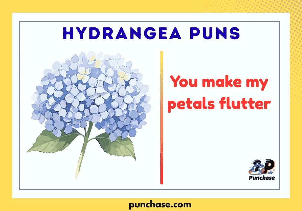 Hydrangea Puns