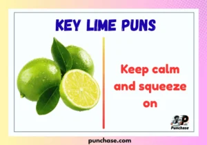 Key Lime Puns