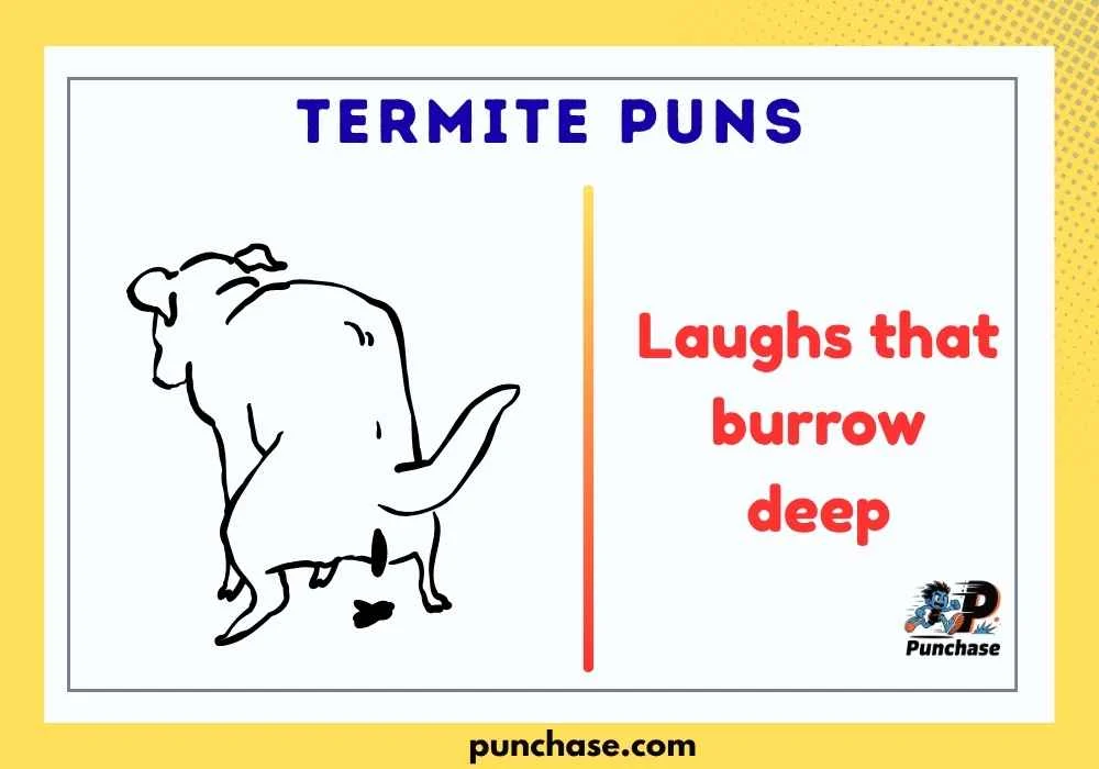 Termite Puns