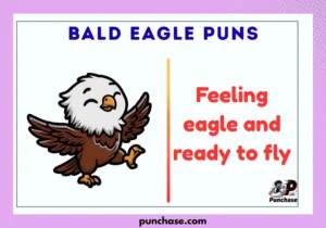 Bald Eagle Puns