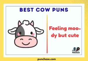 Best Cow Puns