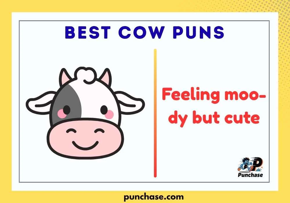 Best Cow Puns