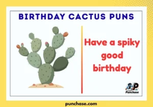 Birthday Cactus Puns