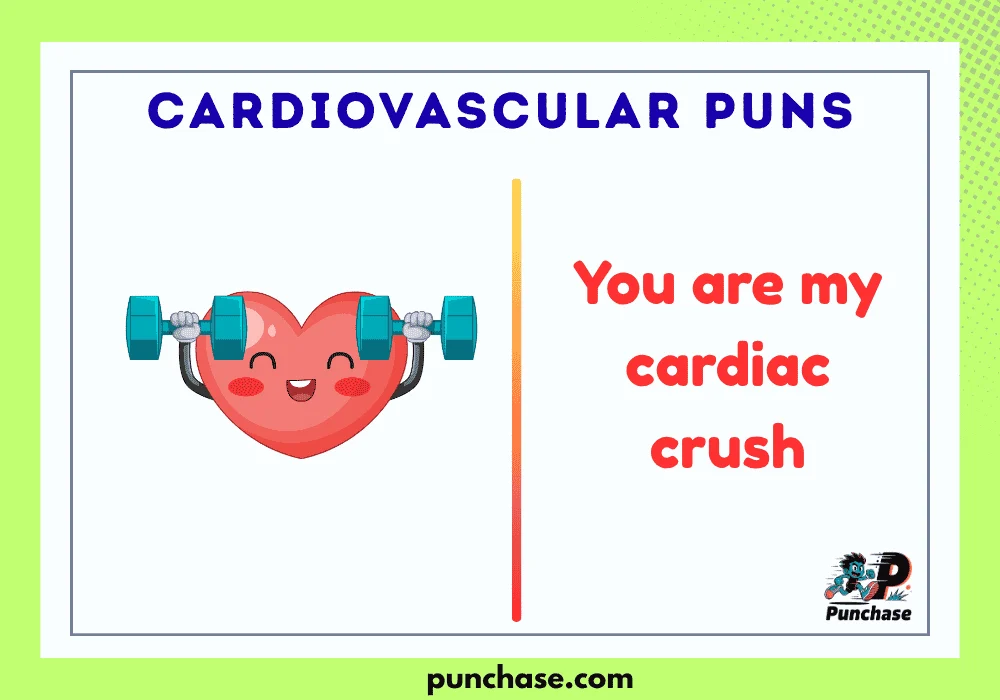 Cardiovascular Puns