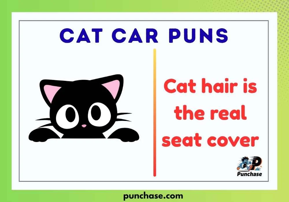Cat Car Puns