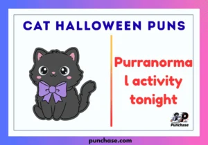 Cat Halloween Puns