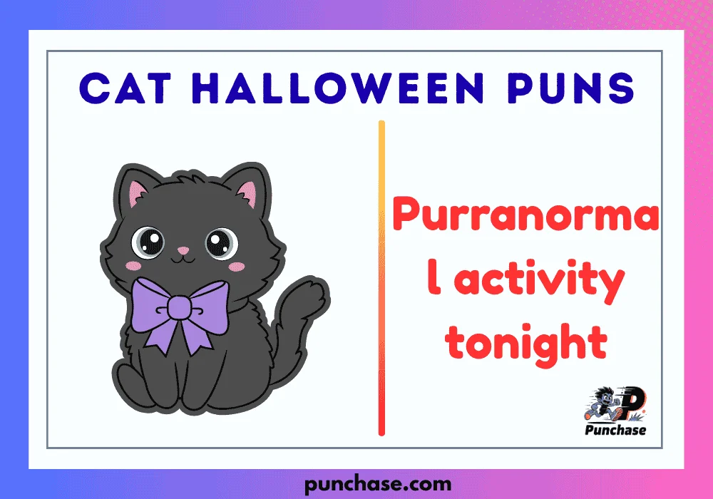 Cat Halloween Puns