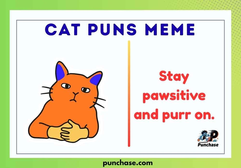 Cat Puns Meme
