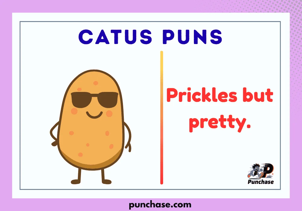 Catus Puns