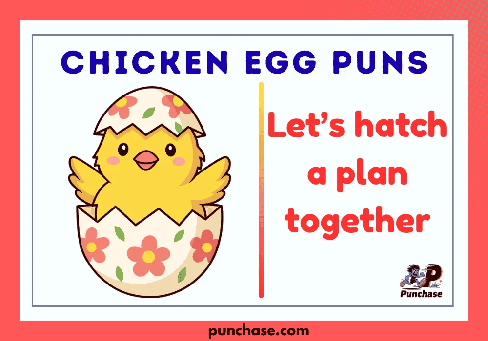 Chicken Egg Puns