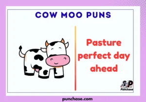 Cow Moo Puns