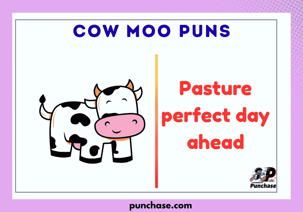 Cow Moo Puns