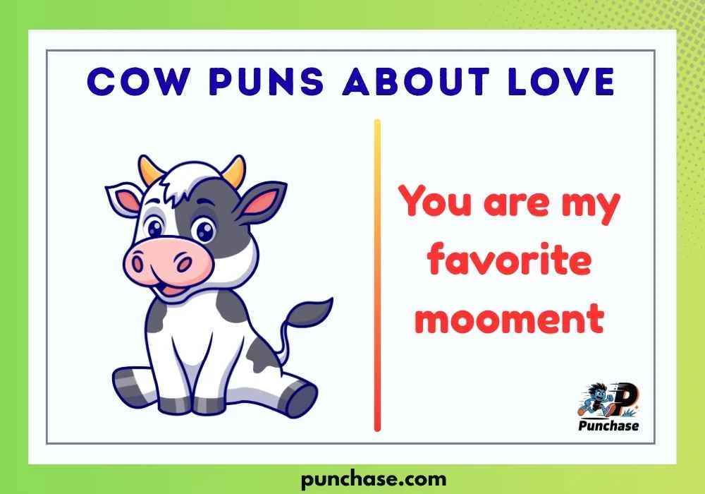 Cow Puns About Love