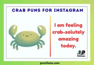 Crab Puns for Instagram