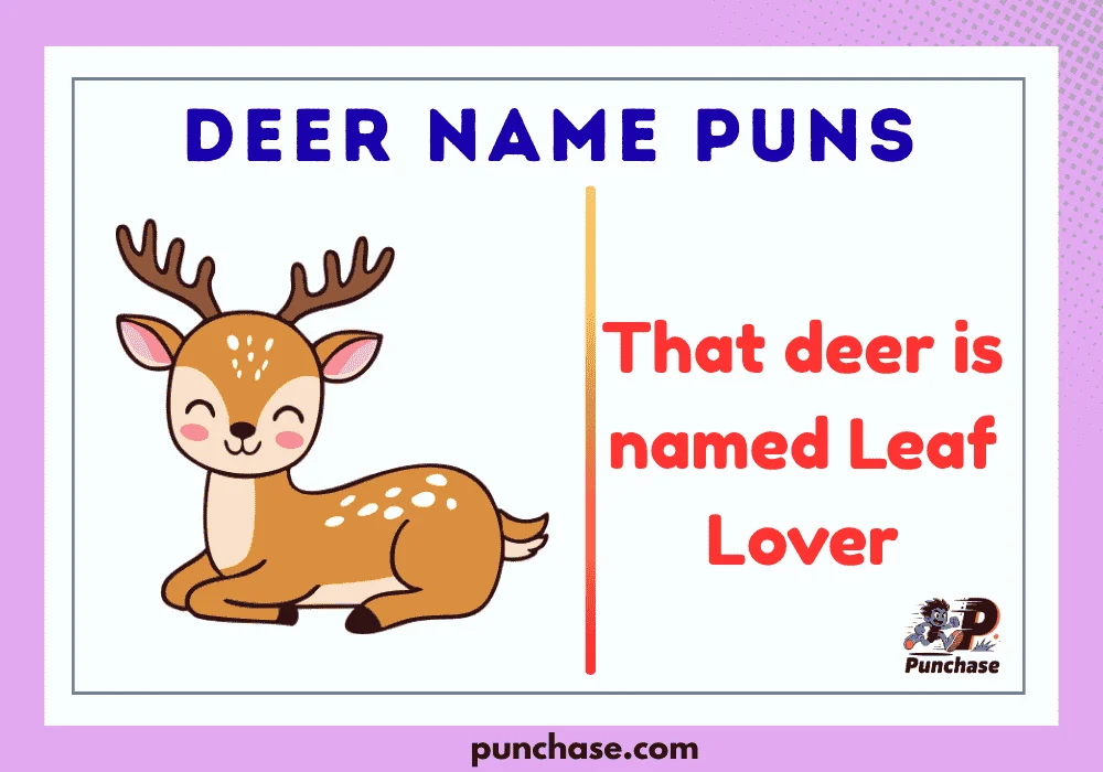 Deer Name Puns