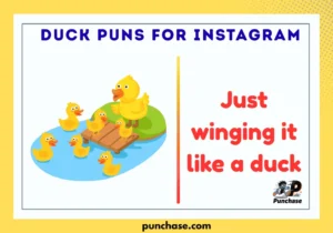 Duck Puns for Instagram