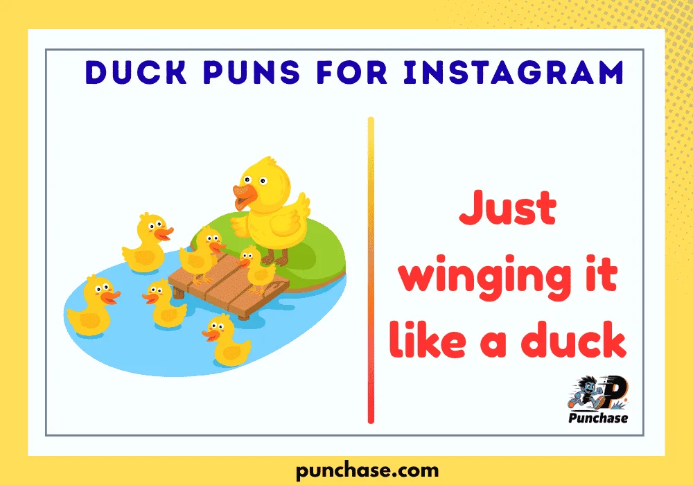 Duck Puns for Instagram