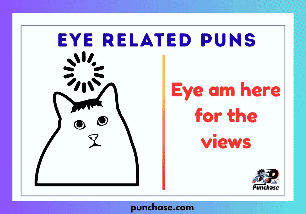 Eye Related Puns