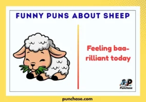 Funny Puns About Sheep