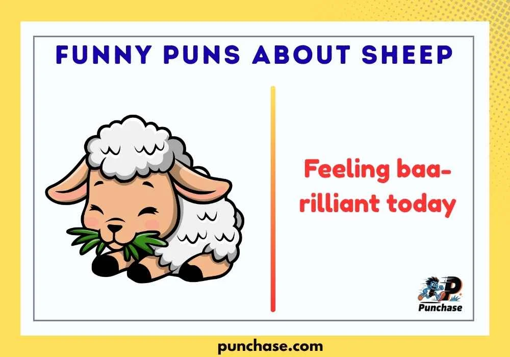 Funny Puns About Sheep
