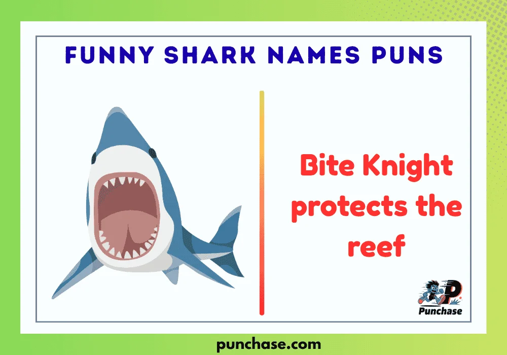 Funny Shark Names Puns