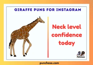 Giraffe Puns for Instagram