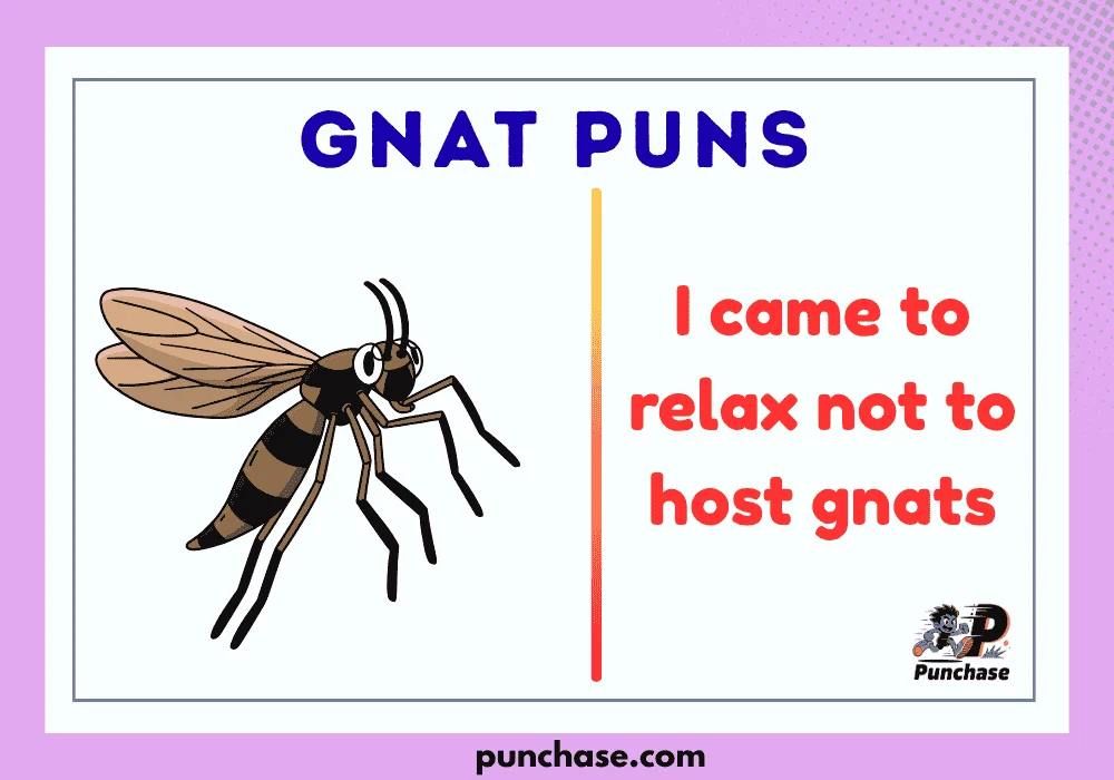 Gnat Puns