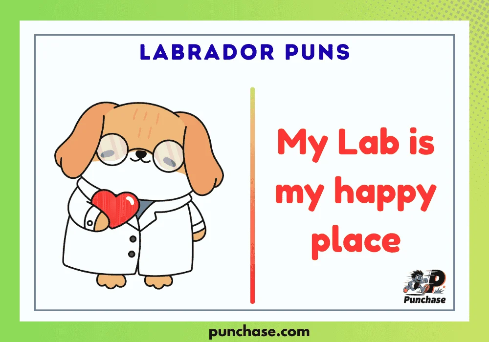 Labrador Puns