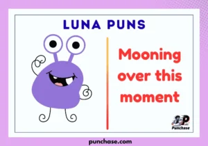 Luna Puns
