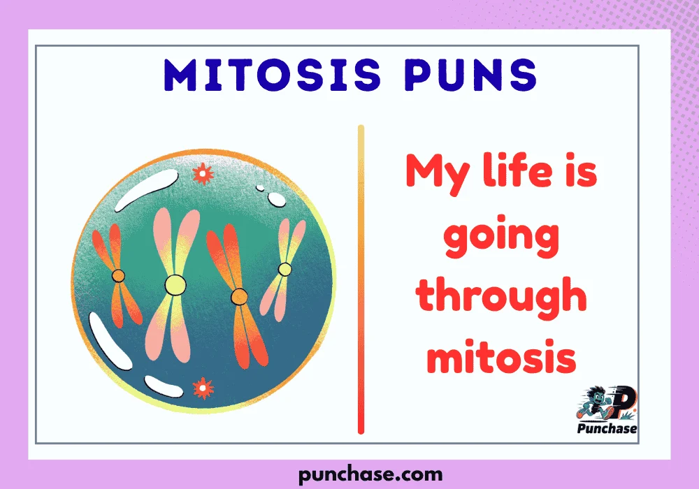 Mitosis Puns