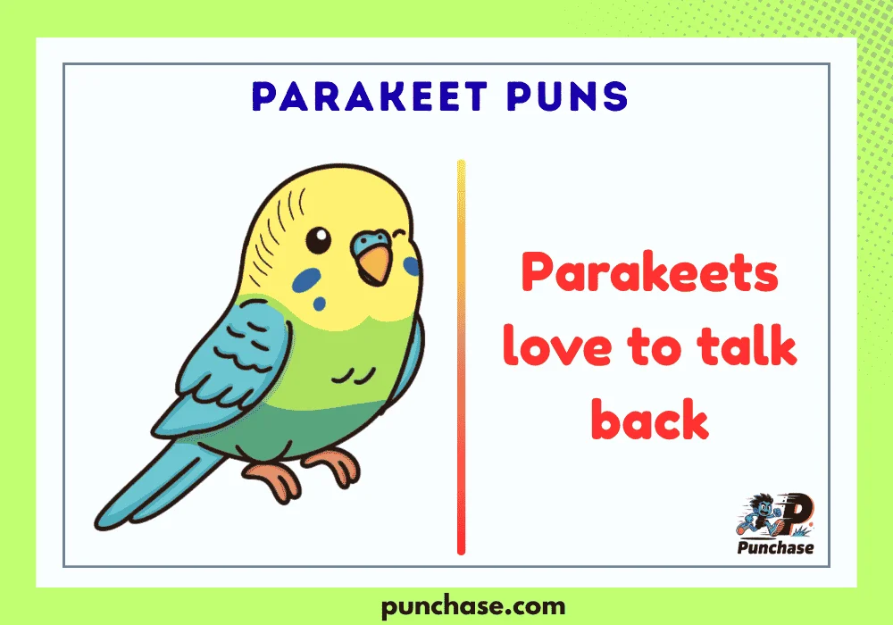 Parakeet Puns