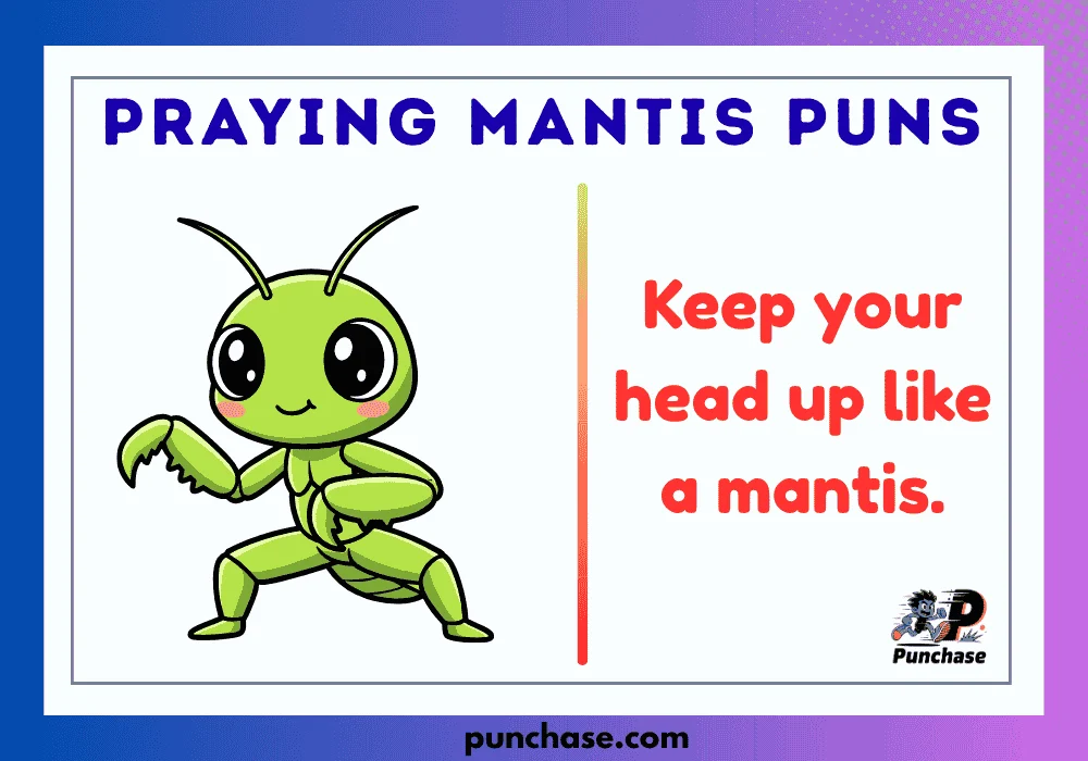 Praying Mantis Puns