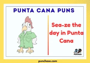 Punta Cana Puns