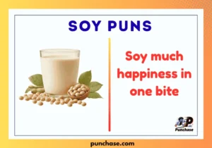 Soy Puns