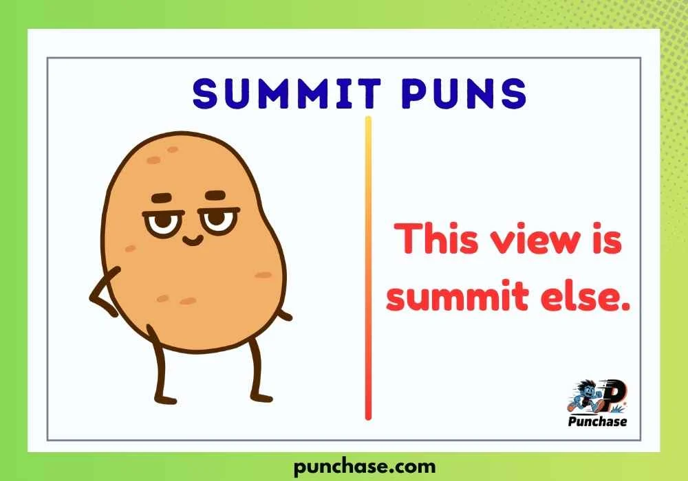 Summit Puns