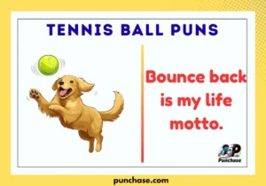 Tennis Ball Puns