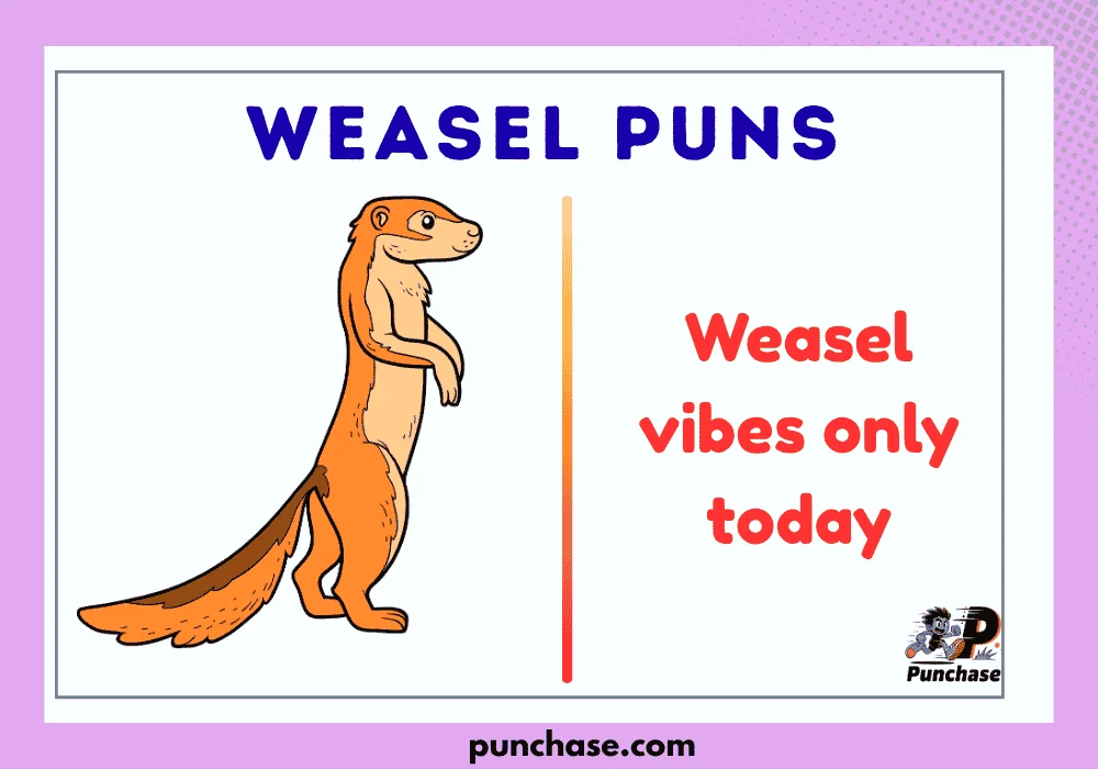 Weasel Puns