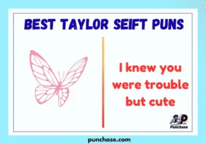 Best taylor seift puns