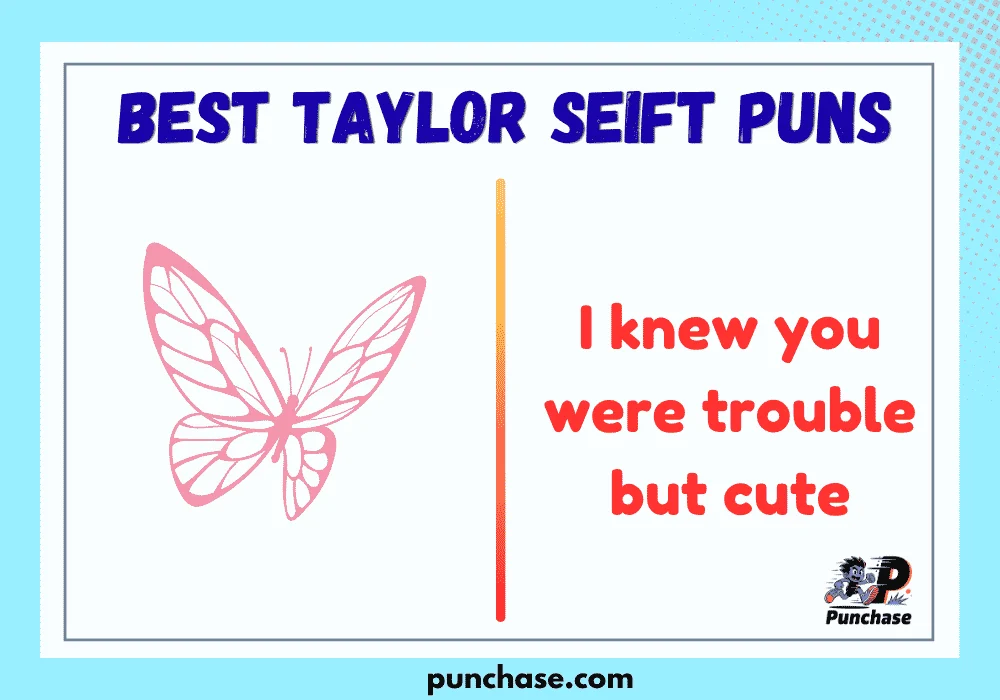 Best taylor seift puns