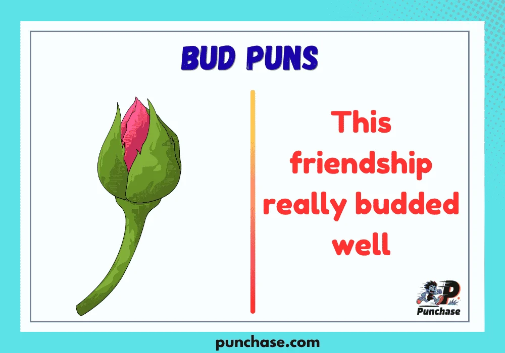 Bud Puns